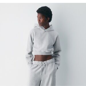 Aritzia Cozy Sweatfleece Cropped Hoodie
